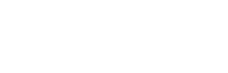 Netkoin